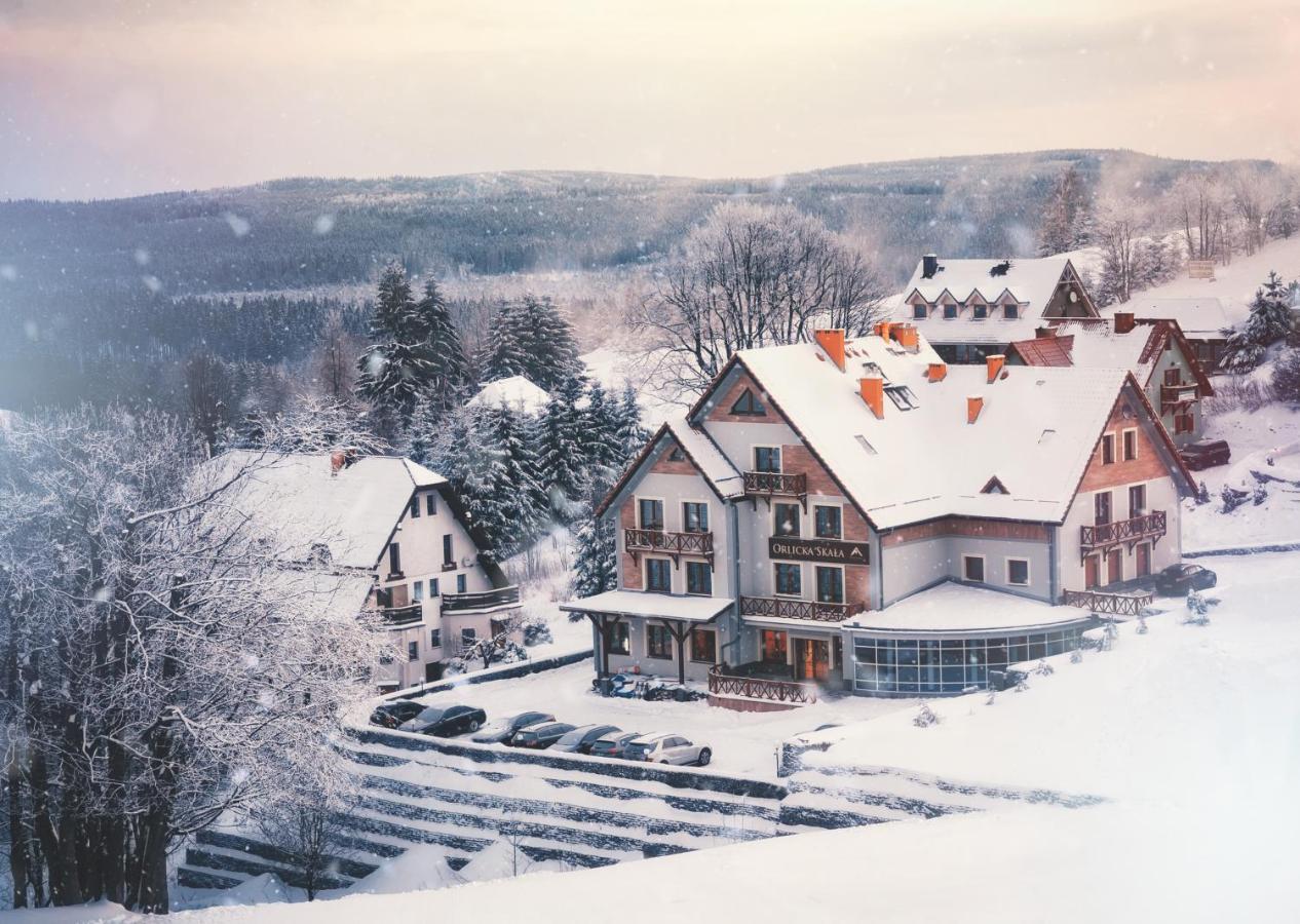 Bed and Breakfast Orlicka Skala à Zieleniec  Extérieur photo